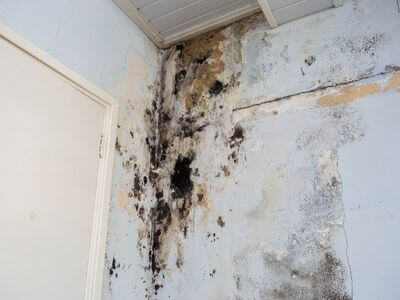 About Water Damage Restoration Rayzor Ranch - water damage restoration experts in Rayzor Ranch